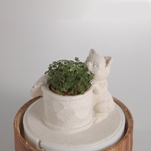 diy盆栽】_diy盆栽品牌/图片/价格_diy盆栽批发_阿里巴巴- 第17页