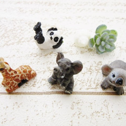 テラリウムガーデン・シナモンと松ぼっくりと小さな動物たち 5枚目の画像