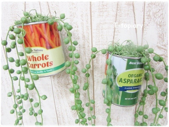 マルシェ缶のグリーンネックレス（キャロット＆アスパラガス缶） 1枚目の画像