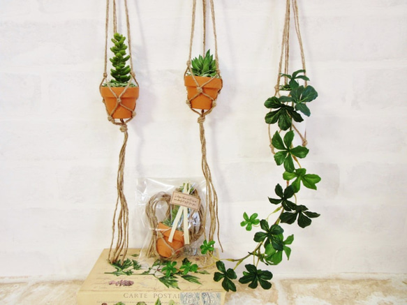 ミニセダムの小さな植木鉢 (プランツハンガー付)（中央）フェイク