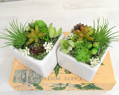 小さなホワイトスクエアの多肉アレンジ(陶器)（小）フェイクグリーン