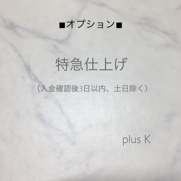 【オプション】ネイルチップ特急仕上げ 1枚目の画像