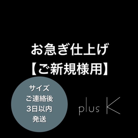 【ご新規様用】plus K ネイルチップお急ぎ仕上げ 1枚目の画像