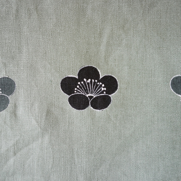 袋裝大Uguisu顏色香梅 第3張的照片