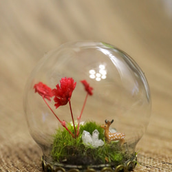 水晶と赤い花のガラスドーム 1枚目の画像