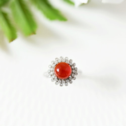 絆 子宝 情熱 恋愛成就を象徴する石 レッドアゲートとジルコニアのフラワー指輪 リング 1月誕生石 2枚目の画像