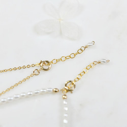 健康・富・長寿・純潔を象徴する ミニ淡水パールのアンクレット　Bタイプ 7枚目の画像