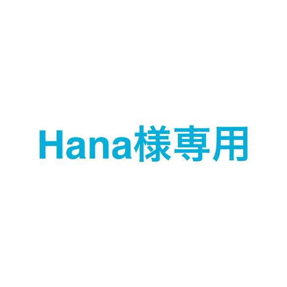 Hana様専用 1枚目の画像