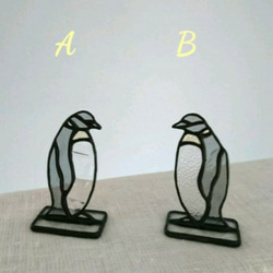 ペンギン 2枚目の画像