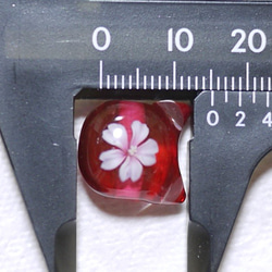 ミニミニ桜にゃんこ玉　横穴 3枚目の画像