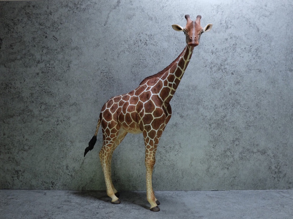 網紋長頸鹿擬真模型  （上色完整版） 第3張的照片