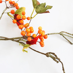 「送料無料」サンキライ（オレンジ）のハンギングリース（壁掛け） 秋リース ハロウィン 7枚目の画像