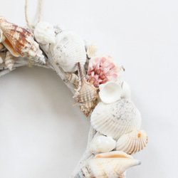 「Creema限定」夏の飾りにピッタリ♪シェルリース（貝殻） 2枚目の画像