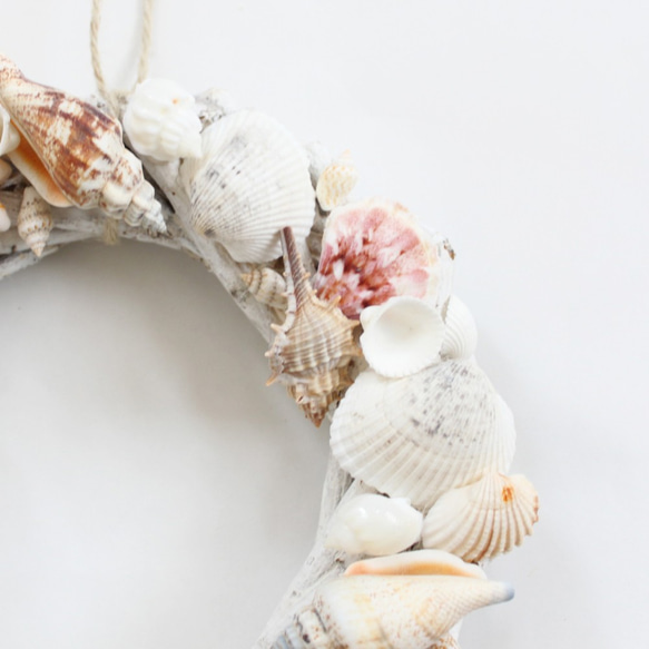 「Creema限定」夏の飾りにピッタリ♪シェルリース（貝殻） 2枚目の画像