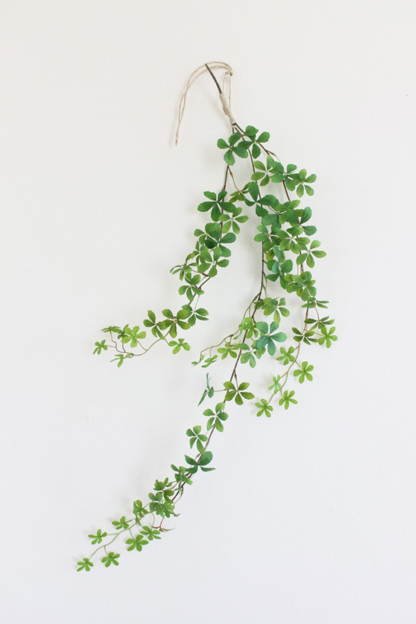 「送料無料」インテリアグリーン！シュガーバイン（フェイク）の壁掛けハンギングリース　観葉植物 10枚目の画像