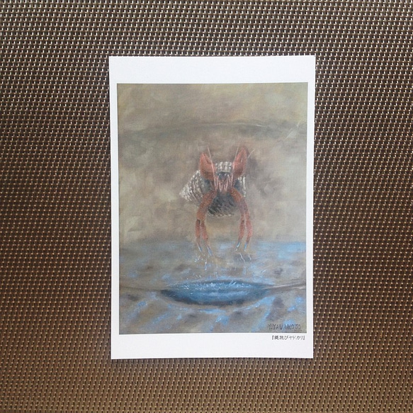 ポストカード ヤドカリの絵５枚セット 4枚目の画像