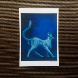 ポストカード 猫の絵５枚セット【Ｆ】 4枚目の画像