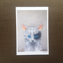 ポストカード 猫の絵５枚セット【Ｉ】 2枚目の画像
