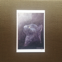 ポストカード 猫の絵５枚セット【Ｋ】 5枚目の画像