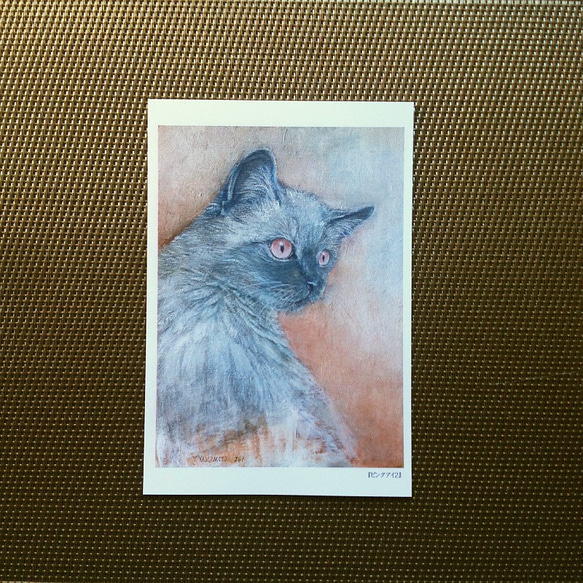 ポストカード 猫の絵５枚セット【Ｐ】 2枚目の画像