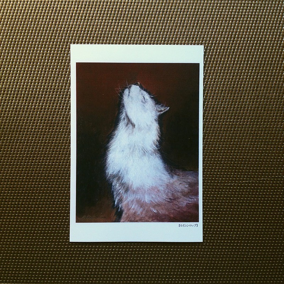 ポストカード 猫の絵５枚セット【Ｐ】 3枚目の画像