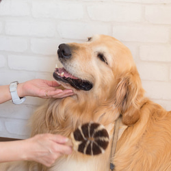 ペット用たわし（大型犬用たわし） 5枚目の画像