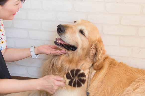 ペット用たわし（大型犬用たわし） 5枚目の画像