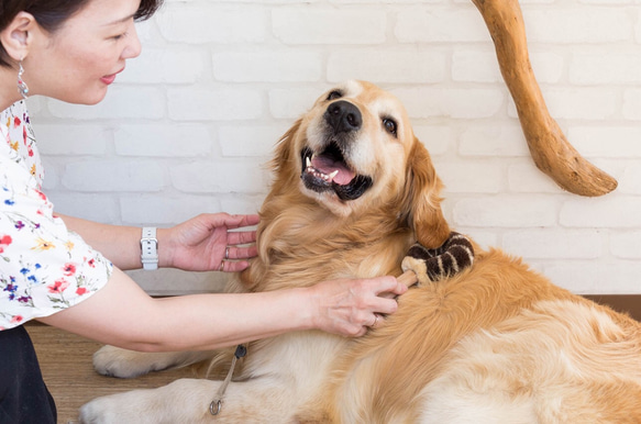 ペット用たわし（大型犬用たわし） 6枚目の画像