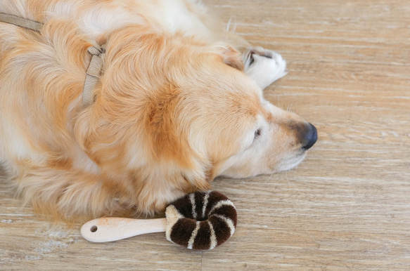 ペット用たわし（大型犬用たわし） 9枚目の画像