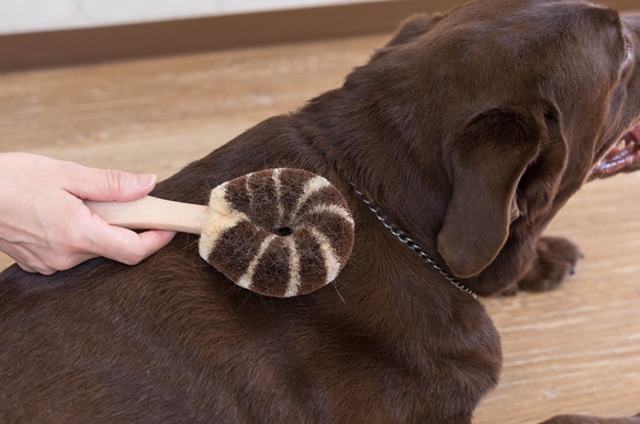 ペット用たわし（大型犬用たわし） 8枚目の画像