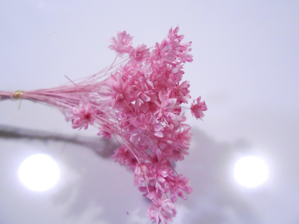 スターフラワーミニ　小束　ピンク 2枚目の画像