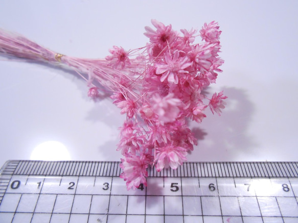 スターフラワーミニ　小束　ピンク 3枚目の画像