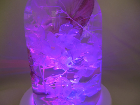 ハーバリウムLEDライティング　テーブルにも　流　 紫陽花 2枚目の画像