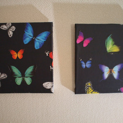 papillon～蝶～　un 2枚目の画像