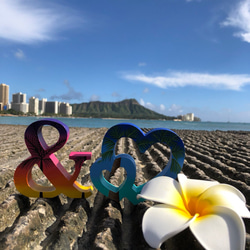 ハワイ　限定品　貝殻装飾の文字オブジェ　LOVE 受注制作＞「 A L O H A 」アルファベットオブジェ【Sea Nalua