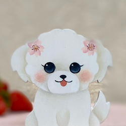 ハンドメイド　オーダー受付ページ　♡夏祭りわんこ　マルチーズ　パネル♡ ハンドメイド オーダー受付ページ ♡夏祭りわんこ マルチーズ