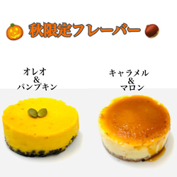 お歳暮にも♡かわいいが詰まった手のひらチーズケーキ9個入り"Lilmiss Cheese!!" ギフト　おせち2022 6枚目の画像