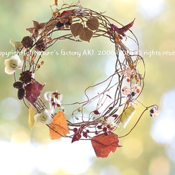 「Autumn Wreath」自然素材リースE185 1枚目の画像