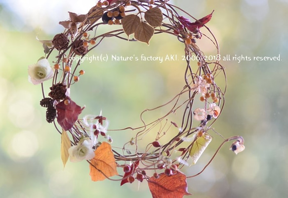 「Autumn Wreath」自然素材リースE185 3枚目の画像