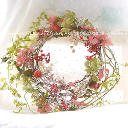 ◎「Happy Red Wreath」自然素材リースTW017 2枚目の画像