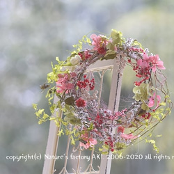 ◎「Happy Red Wreath」自然素材リースTW017 3枚目の画像