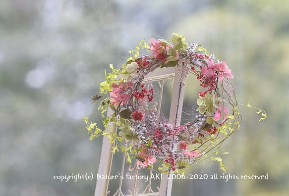 ◎「Happy Red Wreath」自然素材リースTW017 3枚目の画像