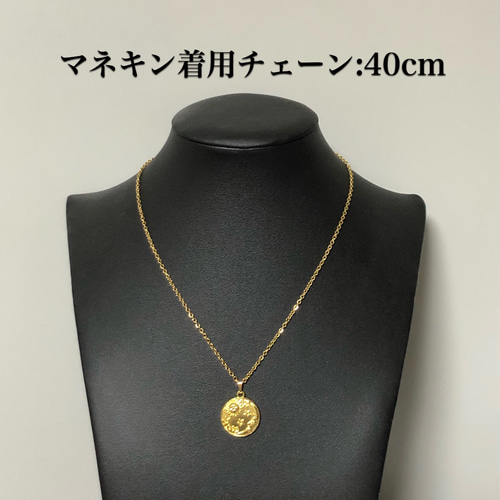 ◆感謝価格◆レア◆phenomenon◆コインネックレス◆オマケ付き◆ K18ゴールド マゼランペンギン コインネックレス – WWFジャパン