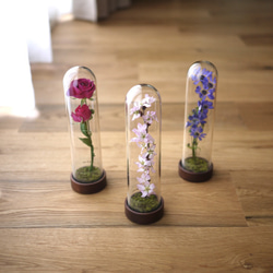 le bois (ルボア）桜さくら　ありのままに咲く花を生活空間に　 1枚目の画像