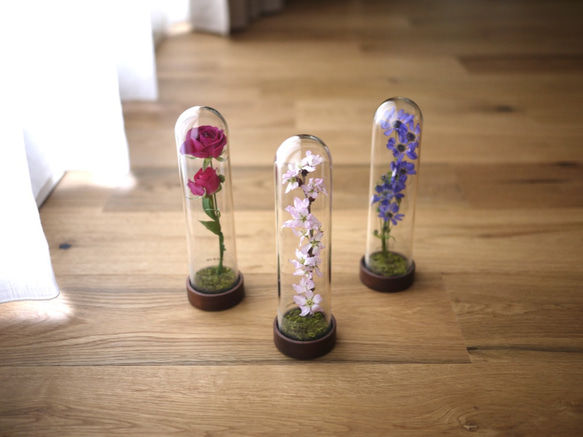 le bois (ルボア）桜さくら　ありのままに咲く花を生活空間に　 1枚目の画像