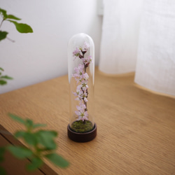 le bois (ルボア）桜さくら　ありのままに咲く花を生活空間に　 2枚目の画像