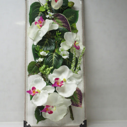 癒しのGREENに華やかな胡蝶蘭を添えて   sale 3800円が3000円 に 1枚目の画像
