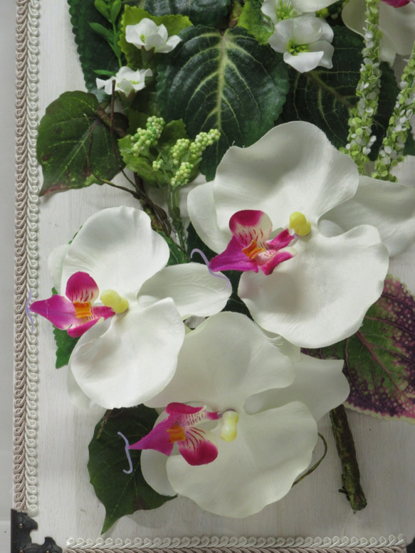 癒しのGREENに華やかな胡蝶蘭を添えて   sale 3800円が3000円 に 2枚目の画像