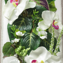 癒しのGREENに華やかな胡蝶蘭を添えて   sale 3800円が3000円 に 3枚目の画像