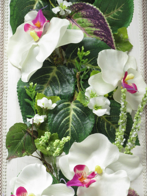 癒しのGREENに華やかな胡蝶蘭を添えて   sale 3800円が3000円 に 3枚目の画像